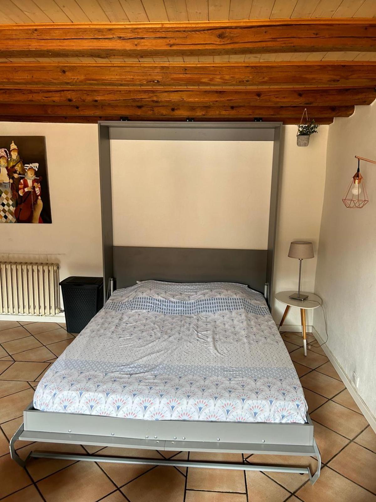 Le Republique Annecy , Coeur De Vieille Ville المظهر الخارجي الصورة